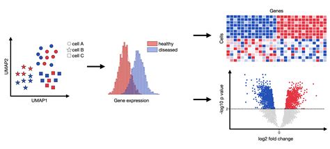 intorcator de gene|Comparative analysis of differential gene expression analysis .
